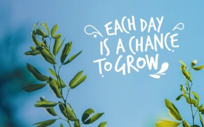 Each Day is a Chance to Grow